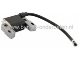 Ontstekingsspoel voor B&S Motoren op Loopmaaiers, Grasmaaiers, Benzinemaaiers, Elektronische Ontsteking Spoelen voor B&S Motoren, B en S Electrische Ontstekingen voor Duwmaaiers, Cirkelmaaiers, Gazonmaaiers, Spirit, 550 Serie - 140CC, 09P602, 09P702