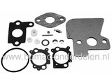 Pakkingset Briggs and Stratton Intek Motor 5,5 - 6 Pk op Grasmaaiers, Loopmaaiers, Benzinemaaiers, Cirkelmaaiers, Set Pakkingen voor B&S Motoren, Dichtingset B en S, Briggs & Stratton Carburateur Revisieset voor Grasmaaier, Grasmachine, Dichtingen