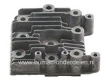 Cilinderkop voor Briggs and Stratton Quantum - Europe en Max Motoren op Grasmaaier, Grasmachine