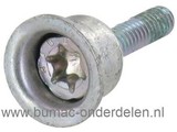 Torx Bout met Klem bus voor Stihl Kettingzaag om Kettingrem hendel - Veiligheigshendel - Beschermhendel te Bevestigen