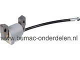 Ontstekingsspoel voor Briggs and Stratton motor met Verticale Krukas op Grasmachine, Loopmaaier, Grasmaaier