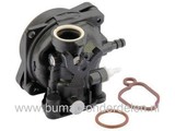 Carburateur voor Briggs & Stratton Motoren op Grasmaaier, Cirkelmaaier, Benzinemaaier, Vergasser B&S, Carburator voor B en S Motoren, Spirit 09p602-0029H