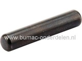 Pal - Stift voor Alko en Solo Tandwiel Aandrijving, Wielaandrijving bij onder andere Alko en Solo Grasmaaier Primo 550 HR, Primo 550 HRM, Primo 550 R, Primo 550 RS, 550 HR, 550 R, 550 RS Grasmachine