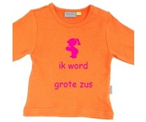 shirt ik word grote zus shirt ik word grote zus