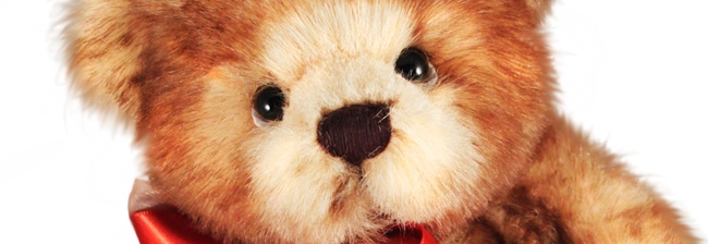 We willen je graag voorstellen aan teddybeer Theodore