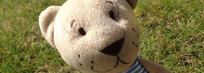 Teddybeer weer thuis dankzij de Zweedse luchtmacht
