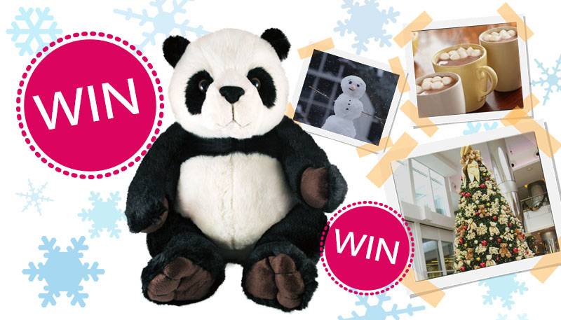 WINACTIE: WIN een panda knuffel met je leukste winterfoto!