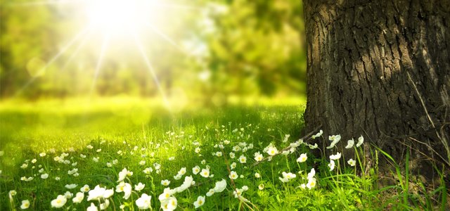 De lente is weer terug, eindelijk!