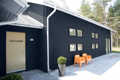 Lariks hout verven