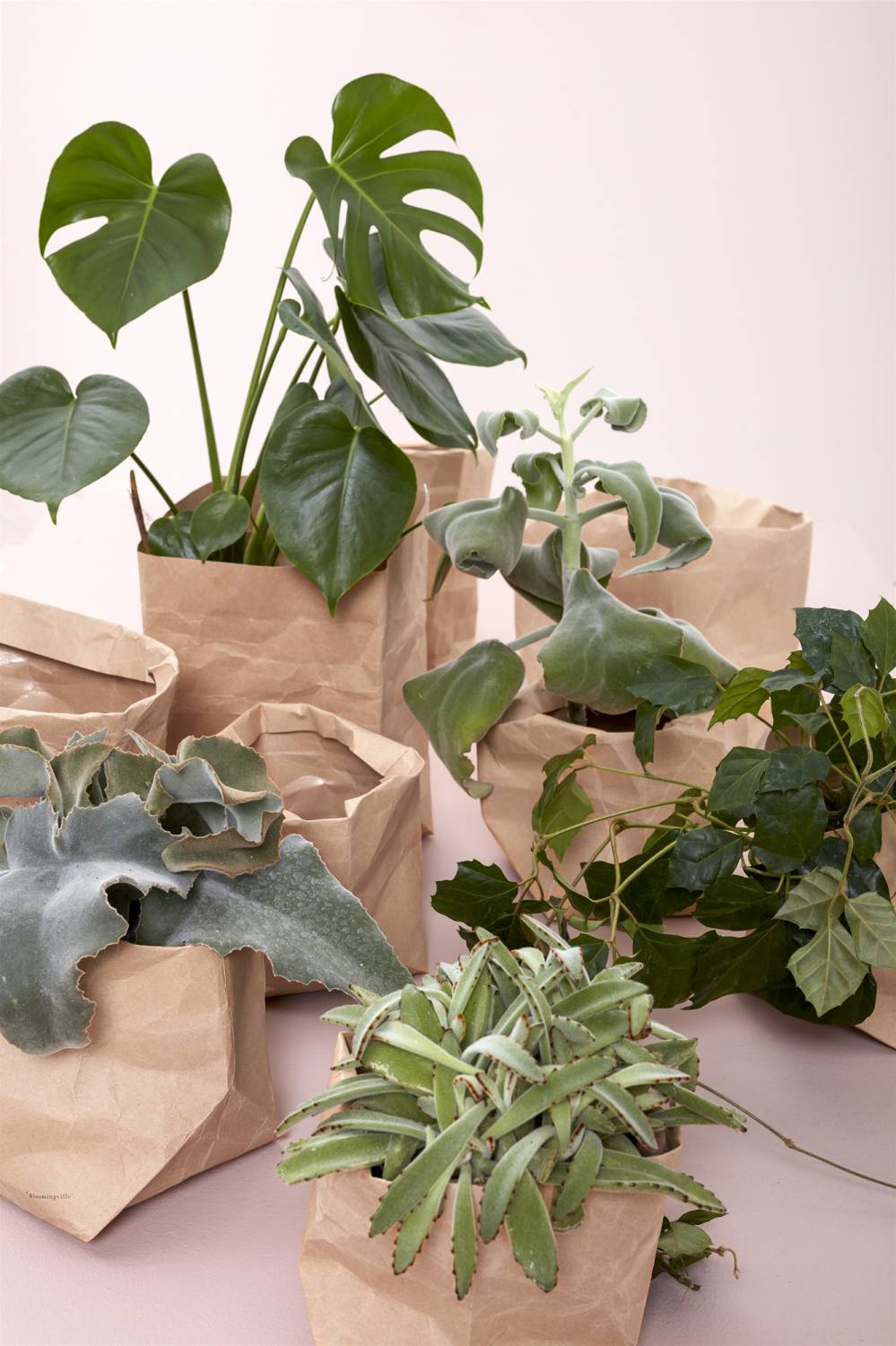 Trend: De natuur in huis