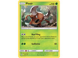 Pokémon Pinsir 6/149
