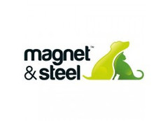 Magnet & Steel