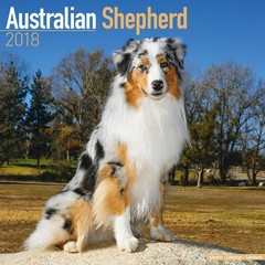 Honden & Puppy Kalenders 2018