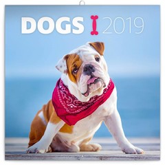 Dieren & Wildlife Kalenders 2019