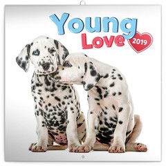 Honden & Puppy Kalenders 2019