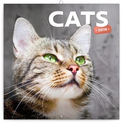 Katten, Poezen & Kitten Kalenders 2019