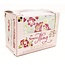 DCWV und Sugar Plum Caja de tarjetas Spring Fling, caja DCWV de tarjetas Spring Fling 10,8 x14cm, 40 tarjetas y sobres
