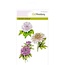 Crealies und CraftEmotions CraftEmotions Transparent stempel A6, Chrysanthemen Zweig Botanical Summer