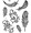 Stempel / Stamp: Transparent
