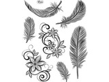 Stempel / Stamp: Transparent
