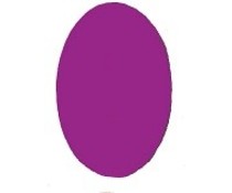 Acrylpoeder Bright Purple Pink 5 gram Acrylpoeder Bright Purple Pink 5 gram