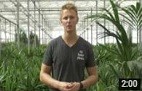 Hydrocultuur