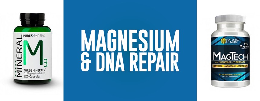 Magnesium for DNA repair