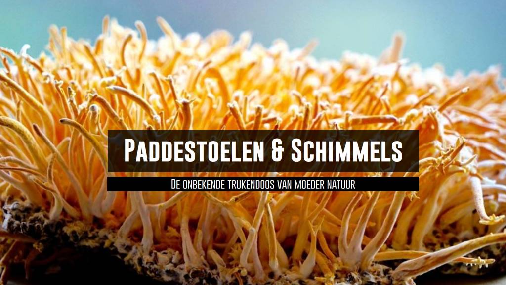 De onbekende trukendoos van moeder natuur
