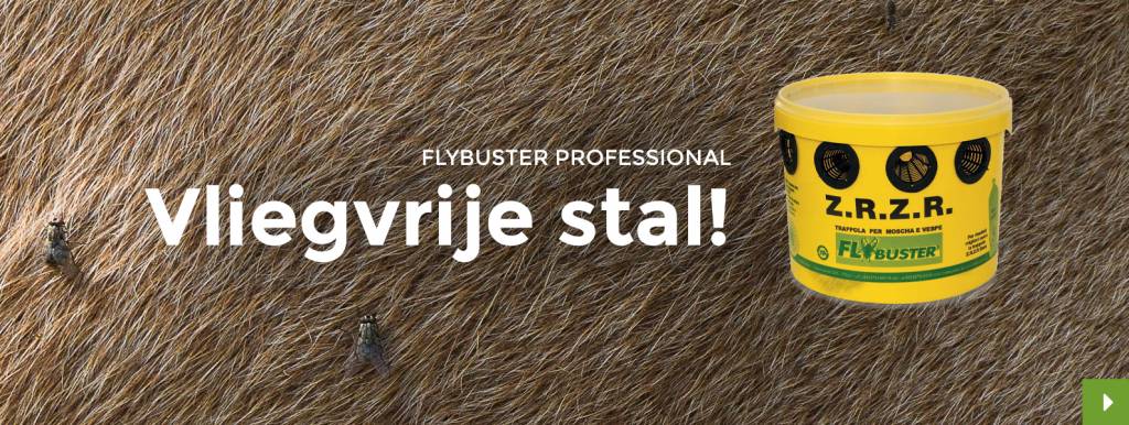 Vliegenoverlast in de melkveehouderij