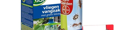 Insecten & beestjes Insecten & beestjes