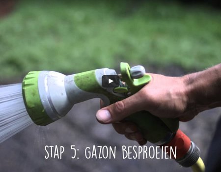 Gazon inzaaien: hoe kunt u een nieuw gazon inzaaien?