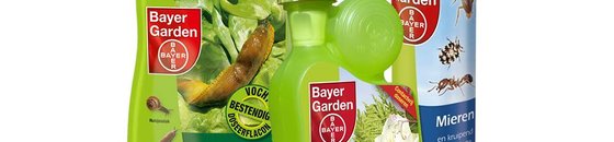 Insecten & beestjes Insecten & beestjes
