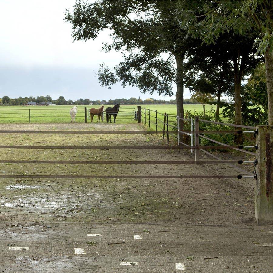 Horses Product van het Jaar 2017