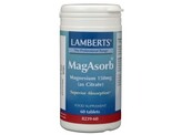Lamberts Magasorb Lamberts Magasorb