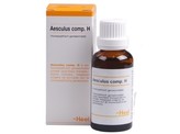 Heel Aesculus compositum H Heel Aesculus compositum H