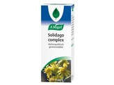 Vogel Solidago complex Vogel Solidago complex