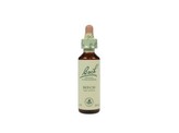 Bach Beech / beuk Bach Beech / beuk