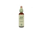 Bach Clematis / bosrank Bach Clematis / bosrank