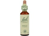 Bach Holly / hulst Bach Holly / hulst