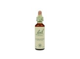 Bach Scleranthus / hardbloem Bach Scleranthus / hardbloem