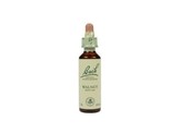 Bach Walnut / walnoot Bach Walnut / walnoot