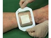3M Tegaderm 4.4X4.4 cm 3M Tegaderm 4.4X4.4 cm