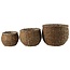 Countryfield Rotan Bloemenmanden - Set van 3 stuks