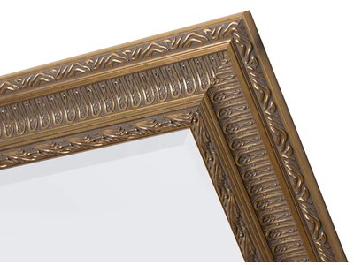 Nyons - Spiegel met Barok Ornamentlijst - Goud Gekleurd Frame