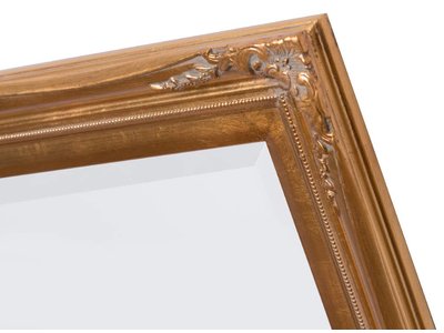 Verona - Klassieke Barok Spiegel met Dubbele Rand - Gouden Frame