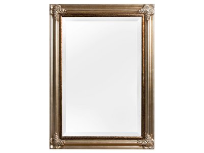 Valencia - Klassieke Barok Spiegel - Zilveren Frame
