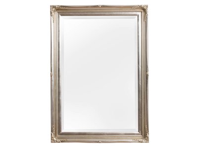 Verona - Klassieke Barok Spiegel met Dubbele Rand - Zilveren Frame