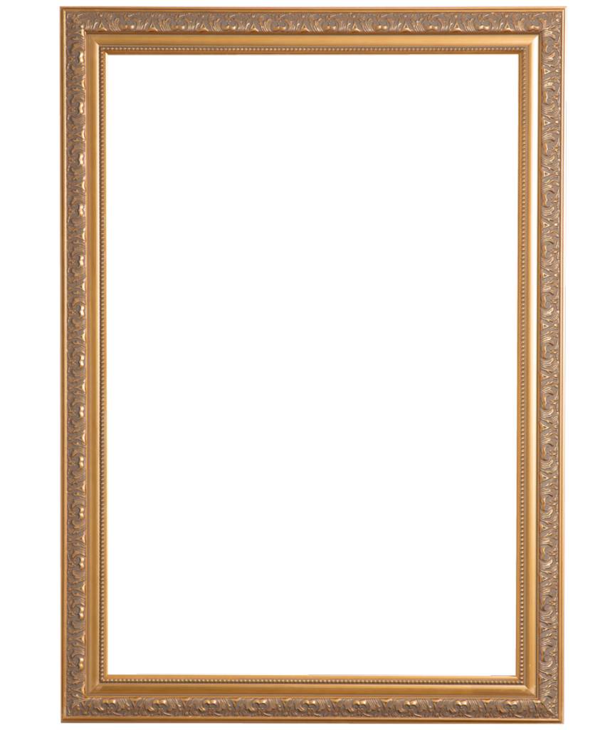 Palmi - Barok Lijst - Goud Gekleurd Frame