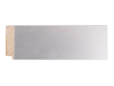 Bettola - Moderne Spiegel - Geborsteld Zilverkleurig Frame