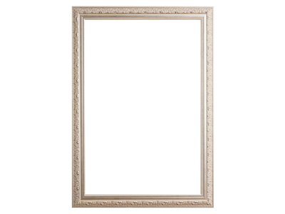 Palmi - Barok Lijst - Zilver Gekleurd Frame